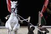 the Spanish Riding School of Vienna